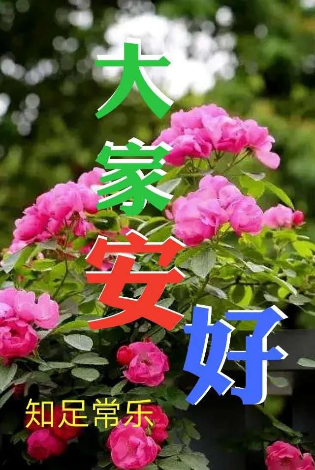 适合发朋友圈早安的唯美图片,暖心早安祝福唯美图片带字