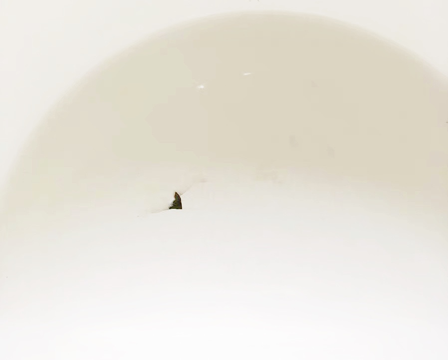 千万不要买的网红锅,网红锅最近火爆的