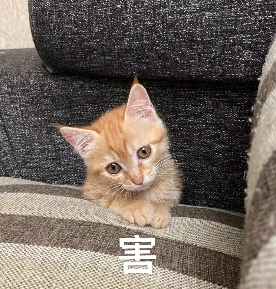 深圳适合带孩子玩的地方推荐免费,深圳免费适合小孩玩的地方室内