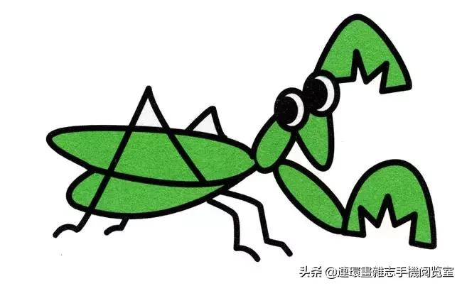 可爱的小昆虫简笔画,我认识的昆虫简笔画