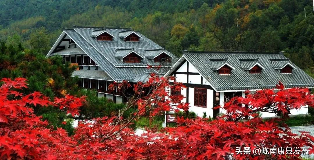 康县美丽乡村文化元素,康县美丽乡村建设