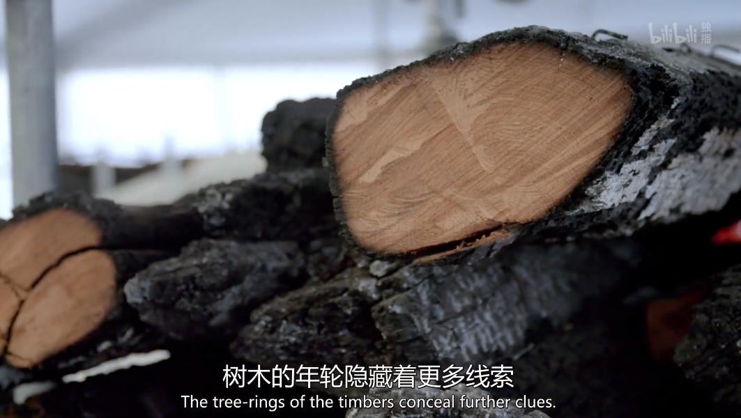 巴黎圣母院火灾重建后建筑怎样,巴黎圣母院火灾一周年