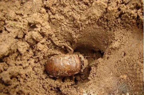 尘封的岁月和记忆,回忆在岁月的痕迹里记录美好