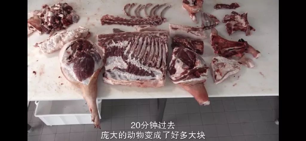 一个冬天的热乎气儿，全靠他们撑着了