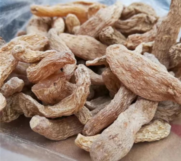 中国最好的野生天麻产地,西藏波密县哪家天麻基地最大