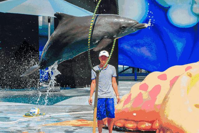 深圳小梅沙海洋世界国庆特惠门票,小梅沙海洋世界3天2夜套票