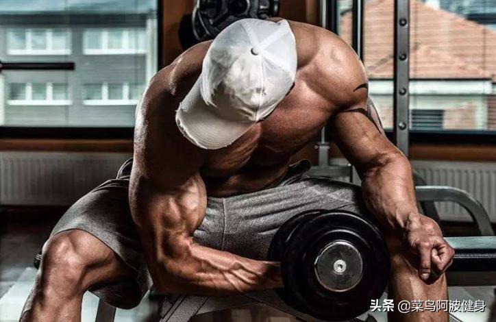 肱二头肌明显是停止长高吗,肱二头肌增长速度缓慢