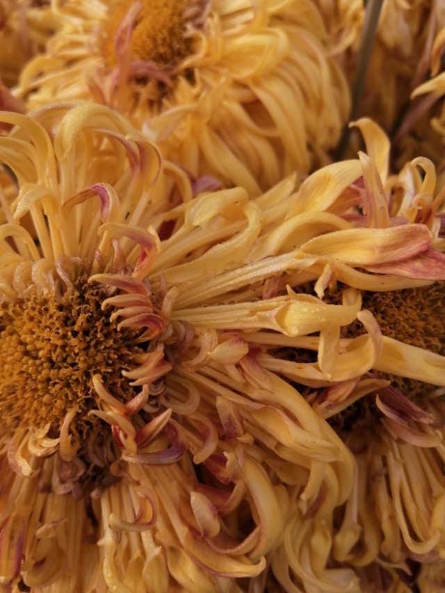 祭天堂的父母,祭天堂的父亲母亲