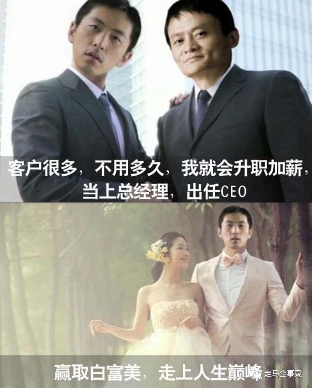 尚德机构毛利率比肩茅台却连亏6年央视多次点名却屡教不改