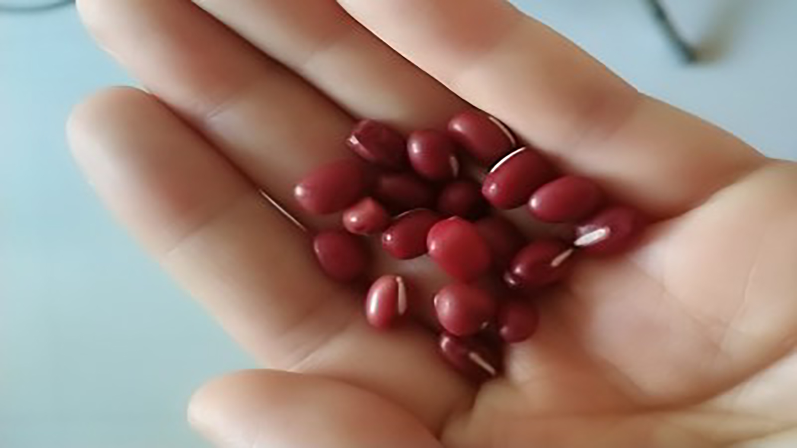 红豆怎么辨别,怎样选购正宗的红豆