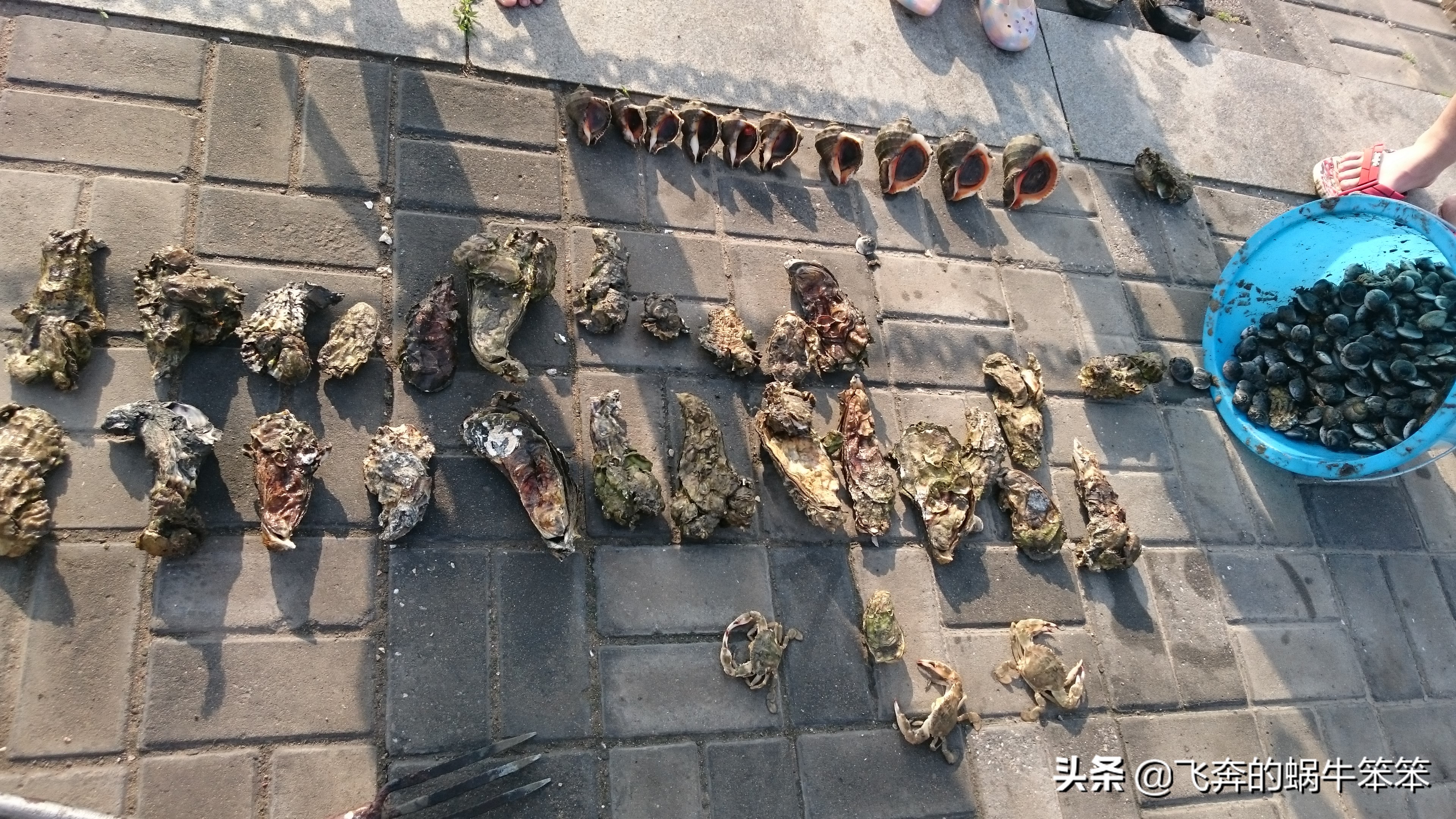 乐亭月岛赶海攻略,赶海看日出