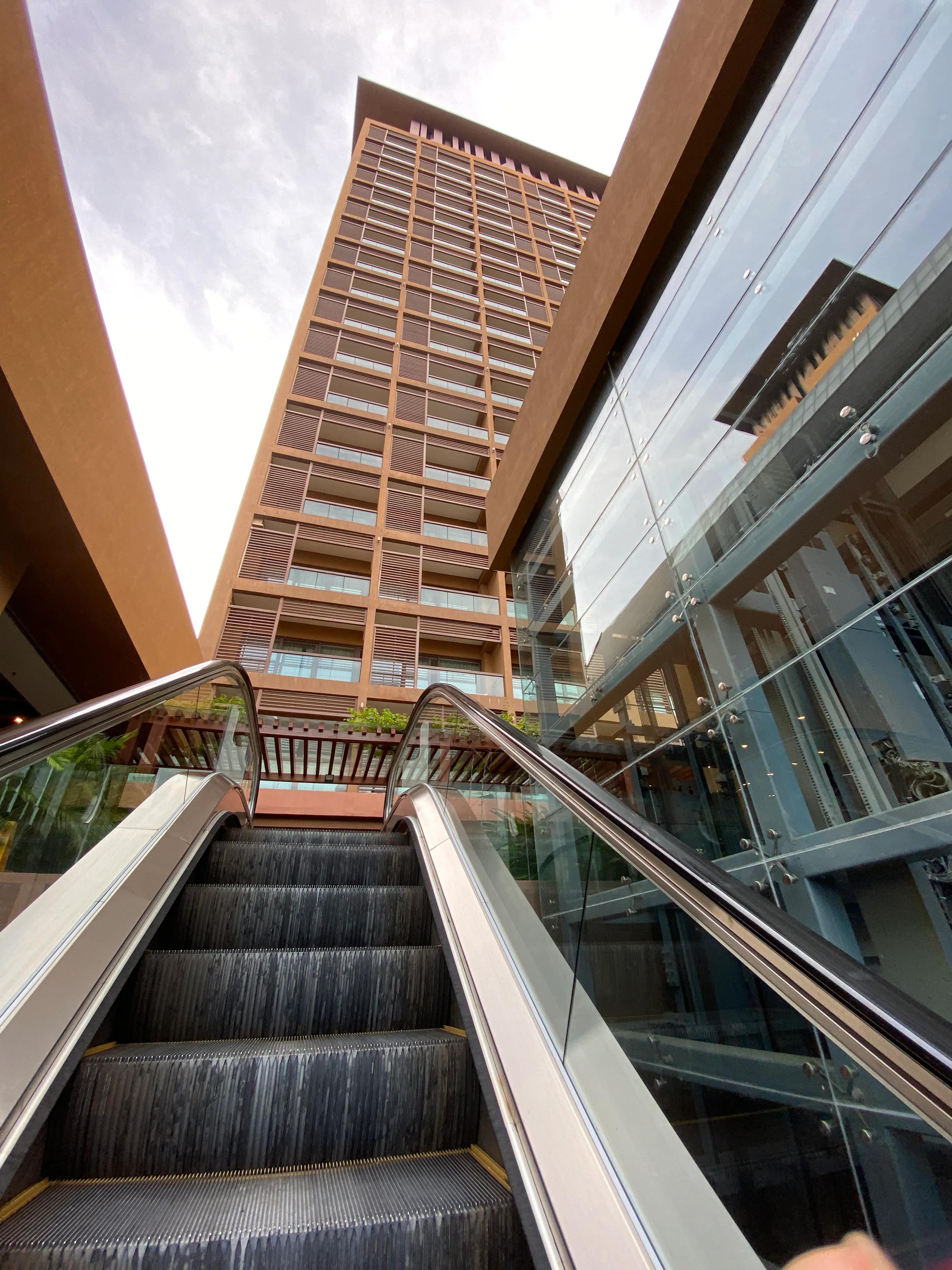 三亚红树林大王棕酒店免税店怎样,三亚湾红树林椰林酒店预订