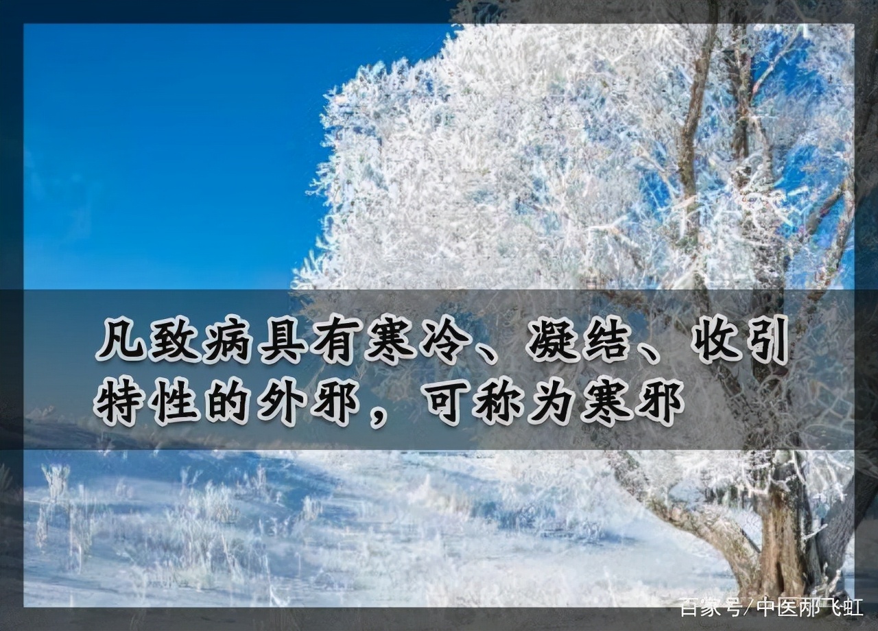 中医基础六邪总结,中医基础理论阴阳谁讲得好