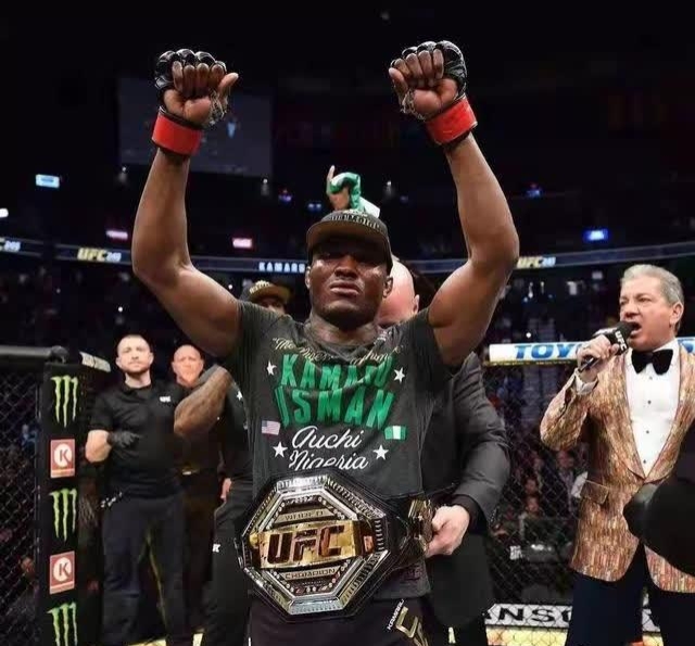 ufc历任重量级冠军资料大全,ufc卡马努乌斯曼vs李景亮