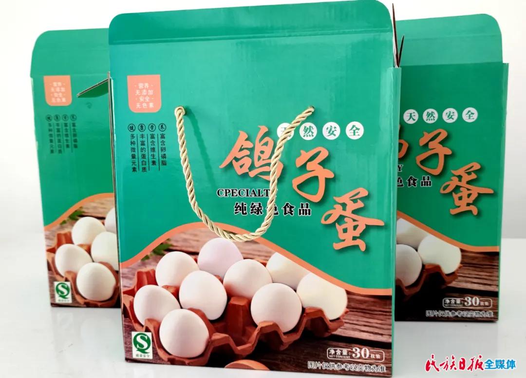 甘肃省积石山县：“小鸽子”衔来致富金钥匙