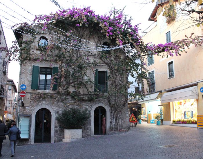 与意大利商人讨价旅游购物欧洲与亚洲国家不同的经营价值观