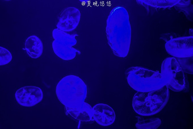 七星级酒店亚特兰蒂斯,三亚七星级酒店亚特兰蒂斯门票