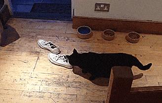 天气一热就脚臭,天气一热脚气就复发