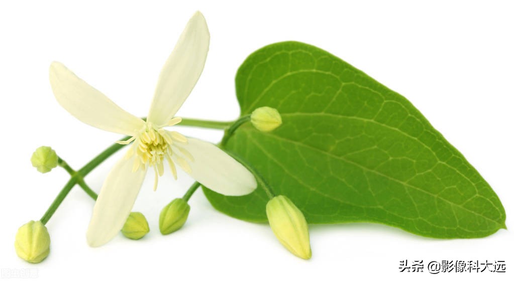 福建省龙岩市中医院副院长姚木铭：腰酸背痛不一定是肾虚