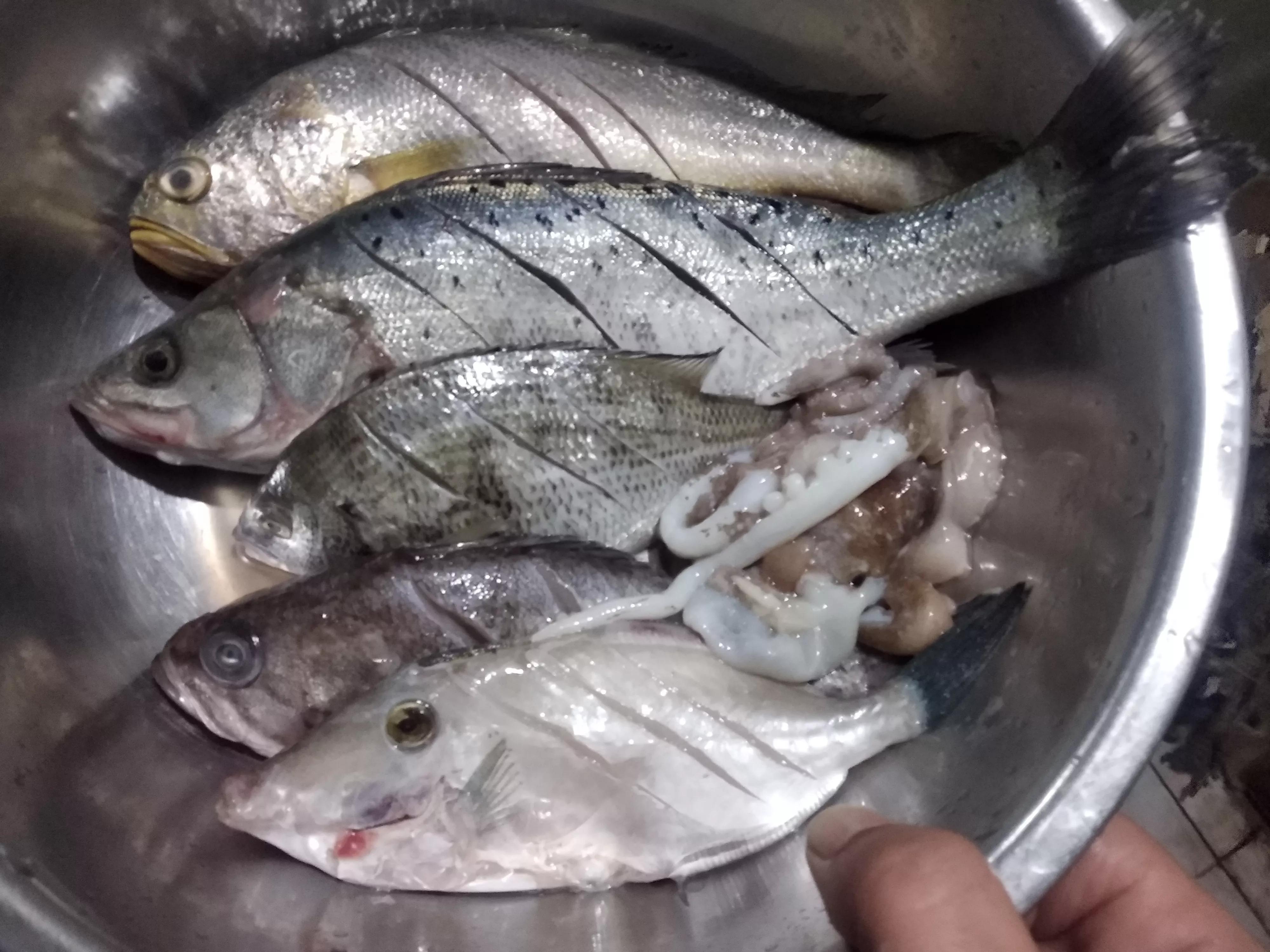 这个季节海鱼的做法,各种海鱼的家常做法