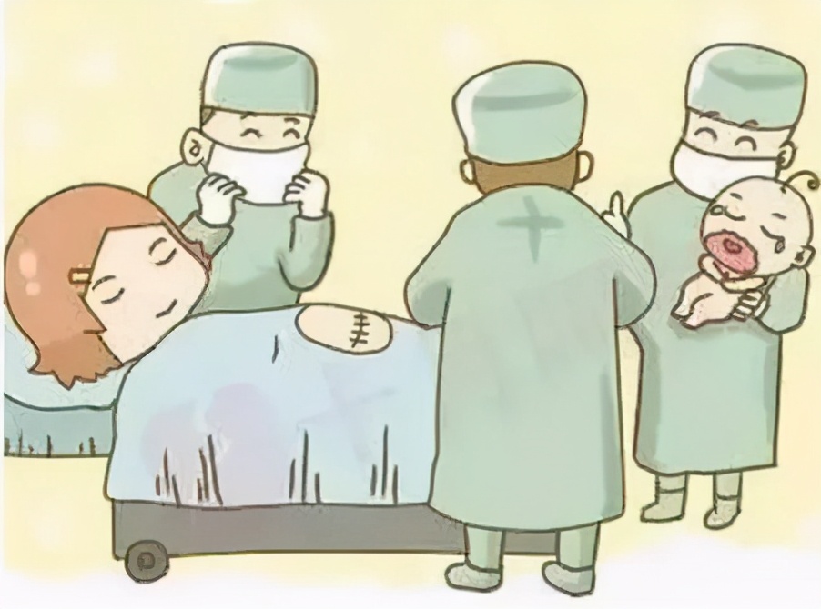 荷兰的基础知识,你所不知道的国家冷知识荷兰