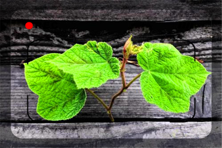 一个没成就的中年人该怎么做,创业失败者怎么过