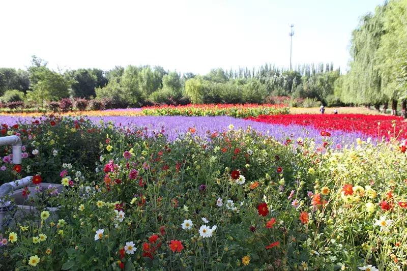 包头市新花海景点,包头最美的地方