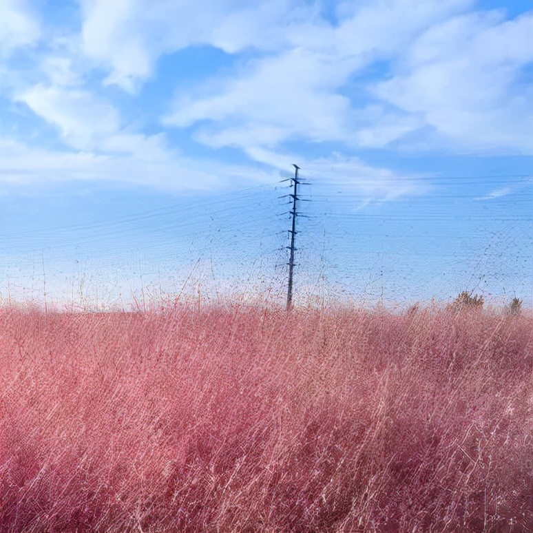 金的功用,金的功能主治