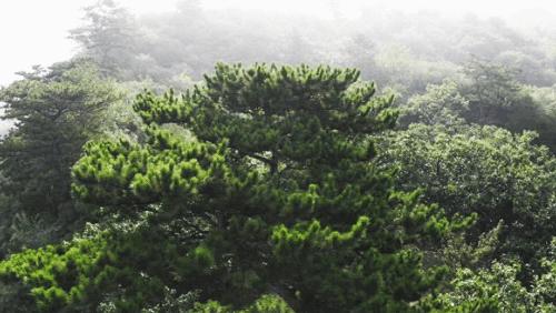 北京京郊女孩抱团养老村,北京山里抱团养老