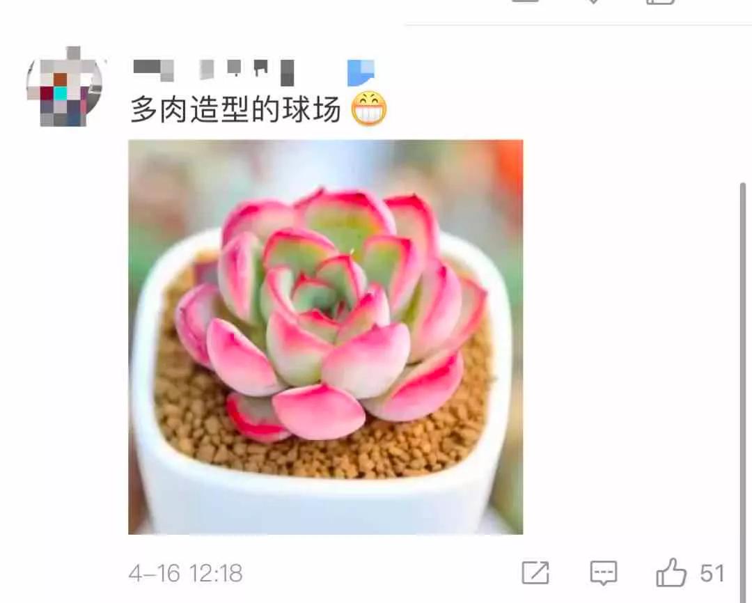 恒大荷花怎么造型,恒大莲花球场真实图