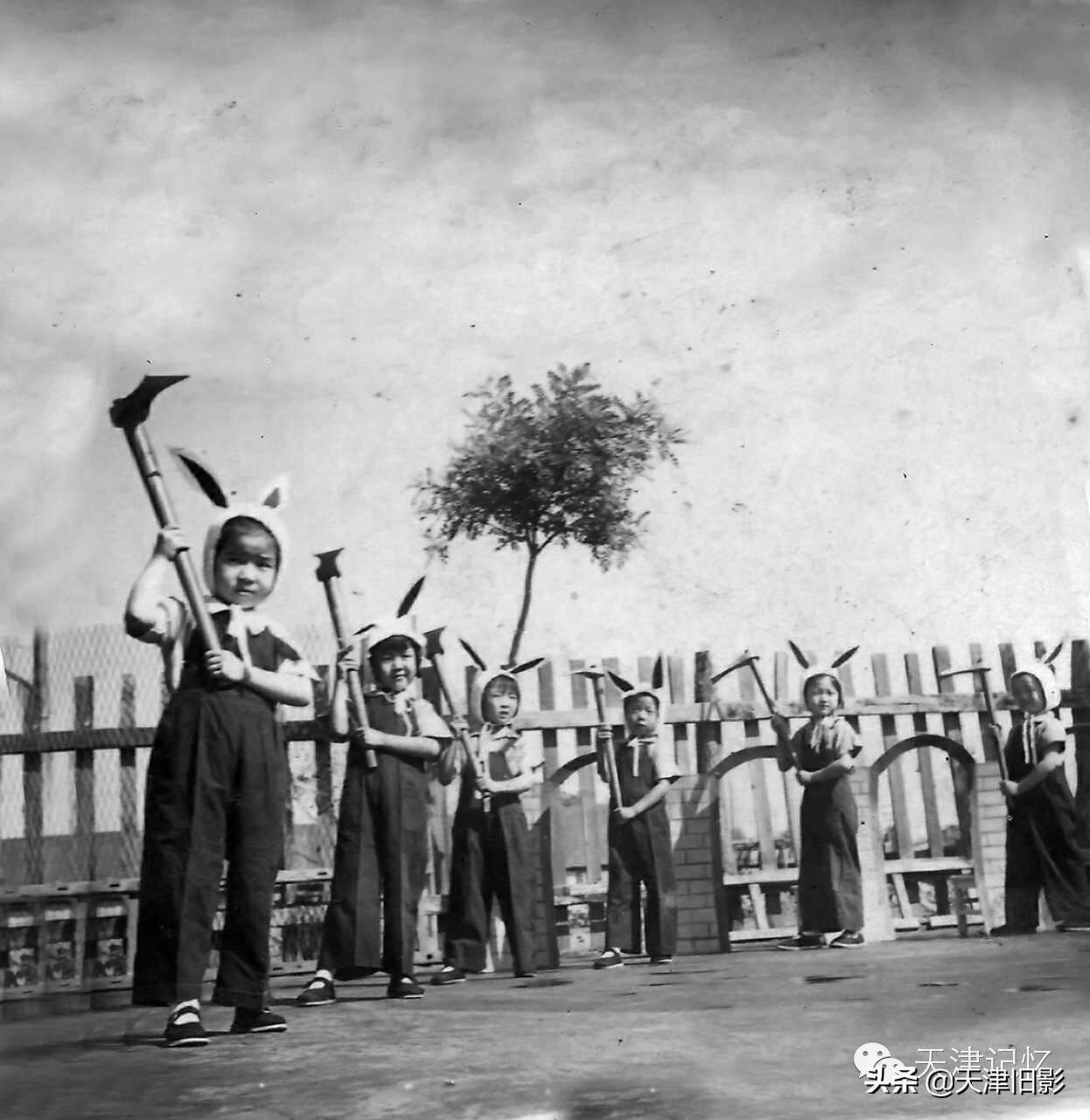 我记忆中的母校作文结尾,我记忆中的母校真的很美好吗