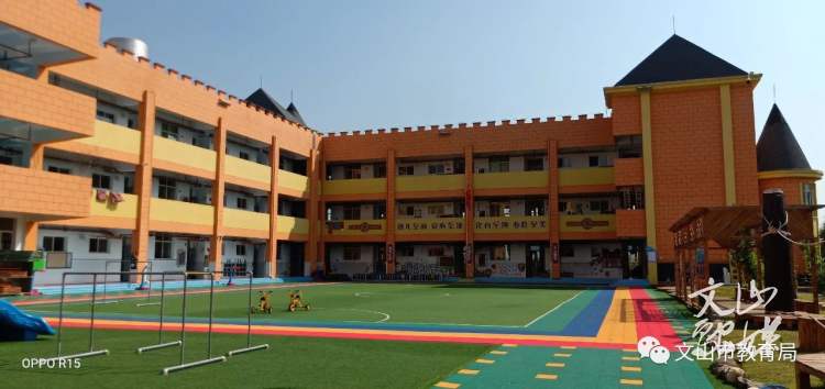 文山市面向全国招聘教师，370个岗位在城区！速扩散