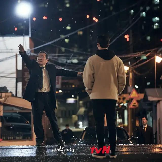 豆瓣评分9.5以上的治愈书,治愈系列电影豆瓣