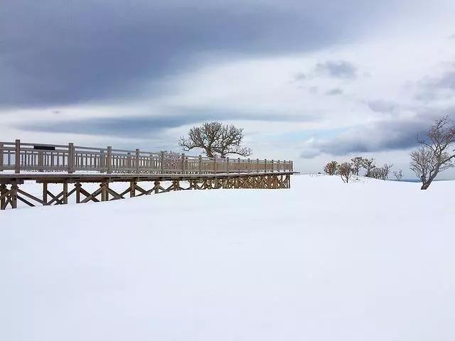 哈他瑜伽冥想放松术结束引导词,瑜伽静坐冥想引导词简单二分钟