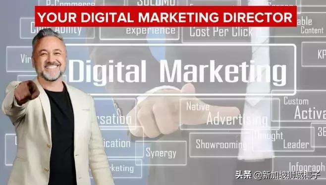 新加坡十大薪资较高的行业,新加坡职位收入前十