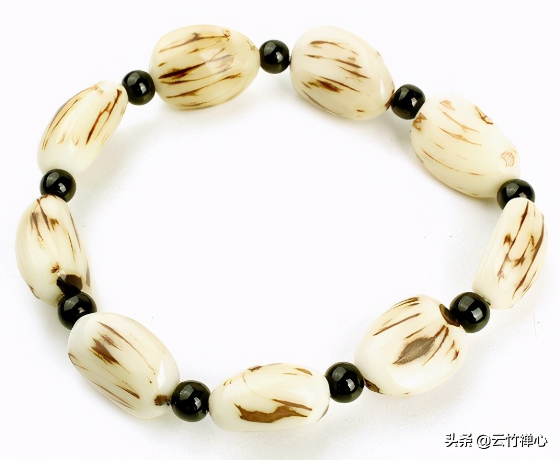 菩提根的盘玩方法和注意事项,菩提根如何盘玩的好