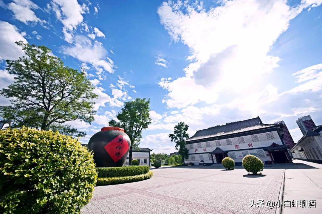 河北省第一名酒,河北第一名酒