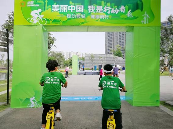 珍古道尔的传奇一生黑猩猩,珍·古道尔和黑猩猩