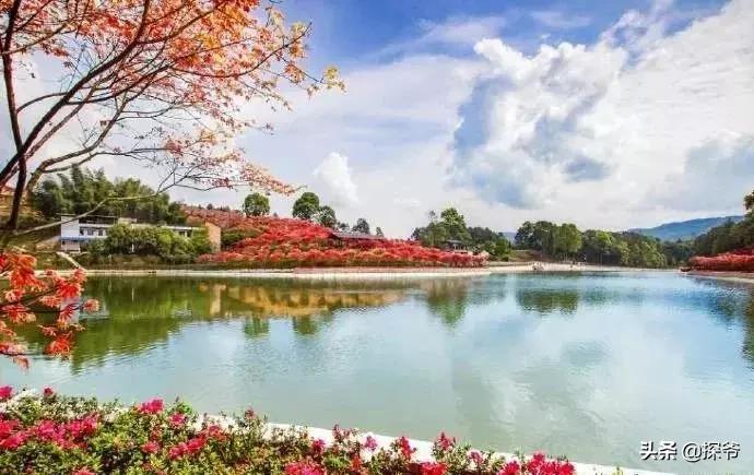 重庆爬山推荐险峻,重庆峭壁悬崖景区