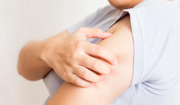 瑞迪福森净水器,rediffusion净水器旗舰店