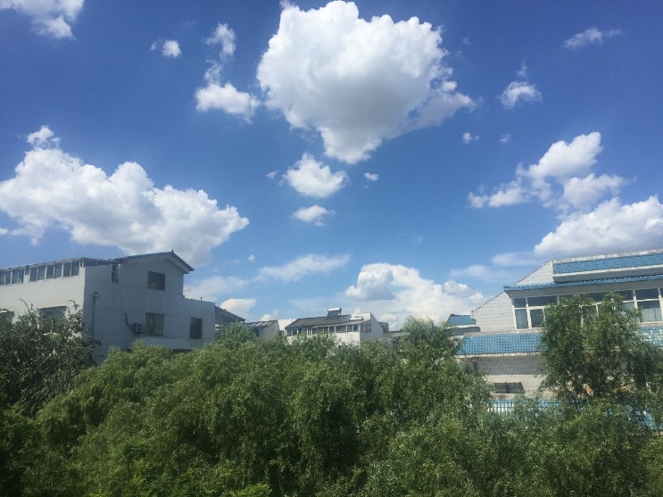 央行利率最新报告,央行一季度房地产贷款余额