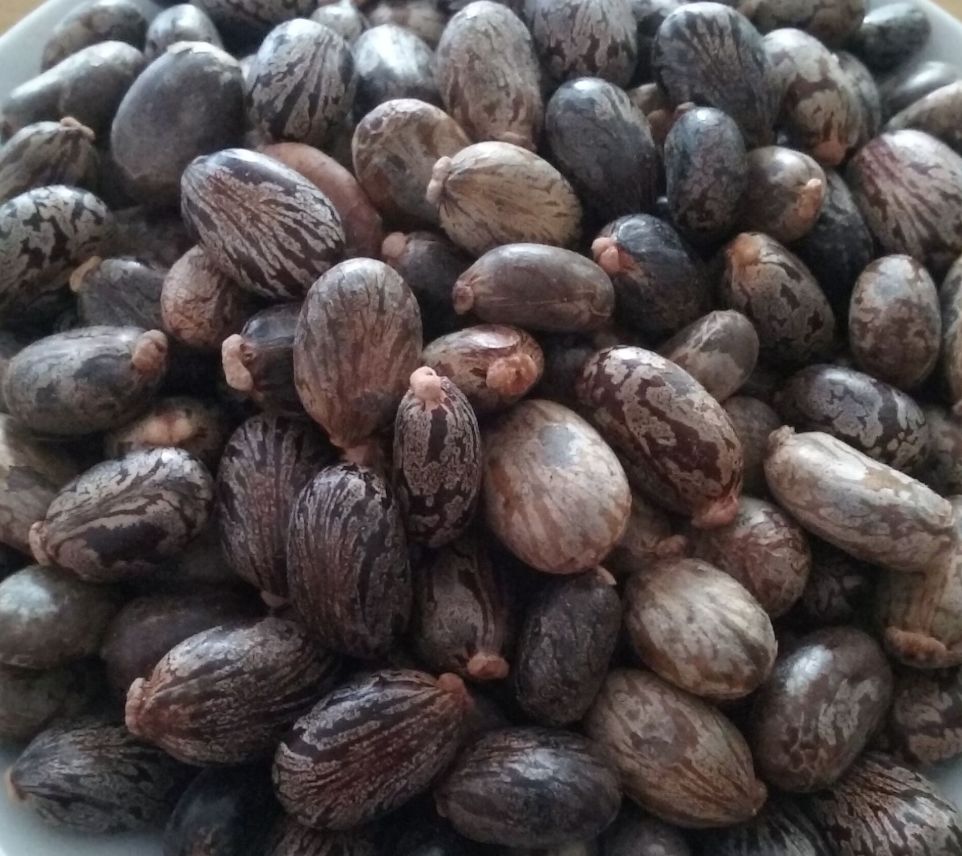 鞋子臭但又不想洗应该怎么做,鞋子臭了但不想洗还要穿怎么办