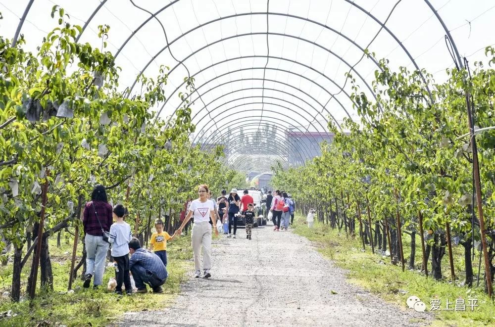 露营抓住五一假期的小尾巴,昌平民宿自驾游推荐