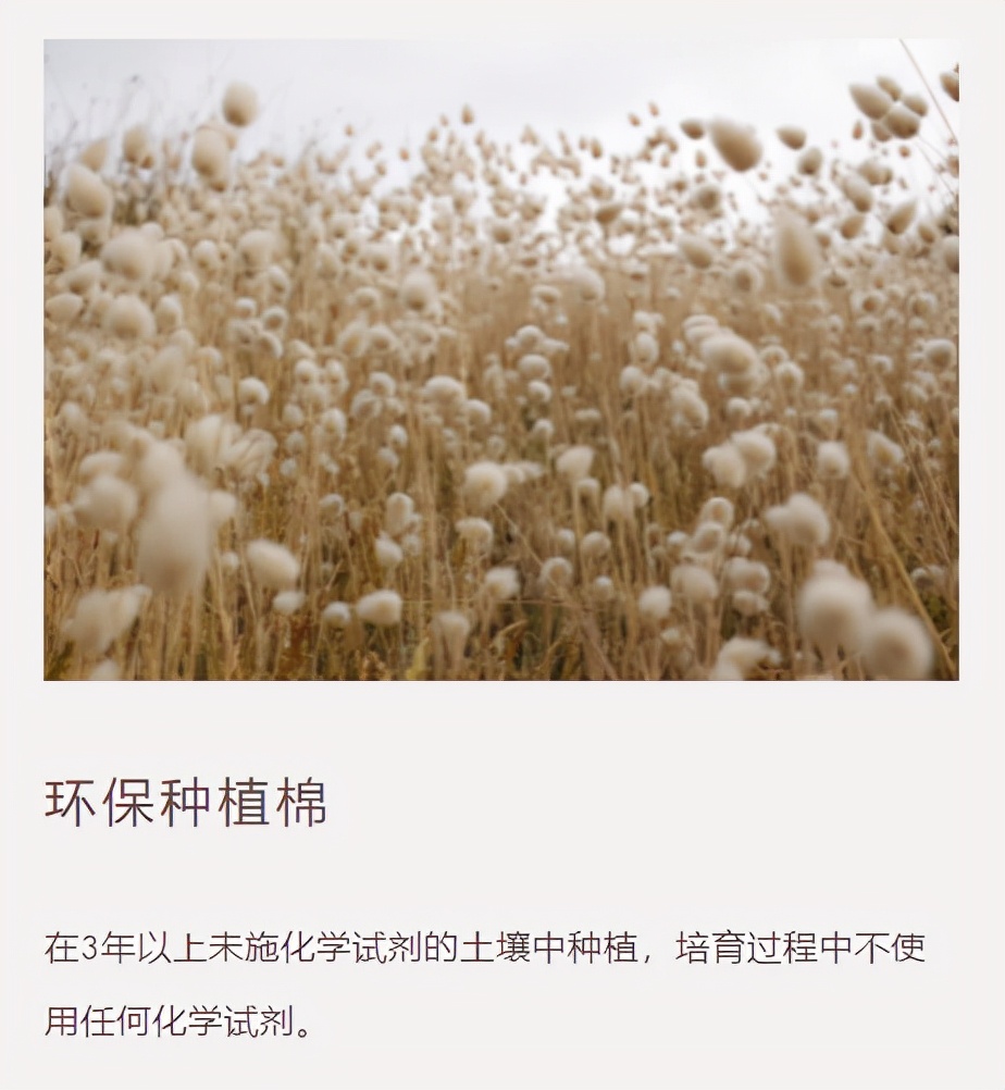 一件衣服卖2400元,一件衣服卖1000美元