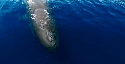 假期最值得看的四部纪录片,适合暑假看的5部神级纪录片