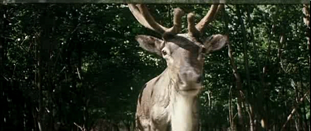 《紫日》紫色,代表太阳快落山了