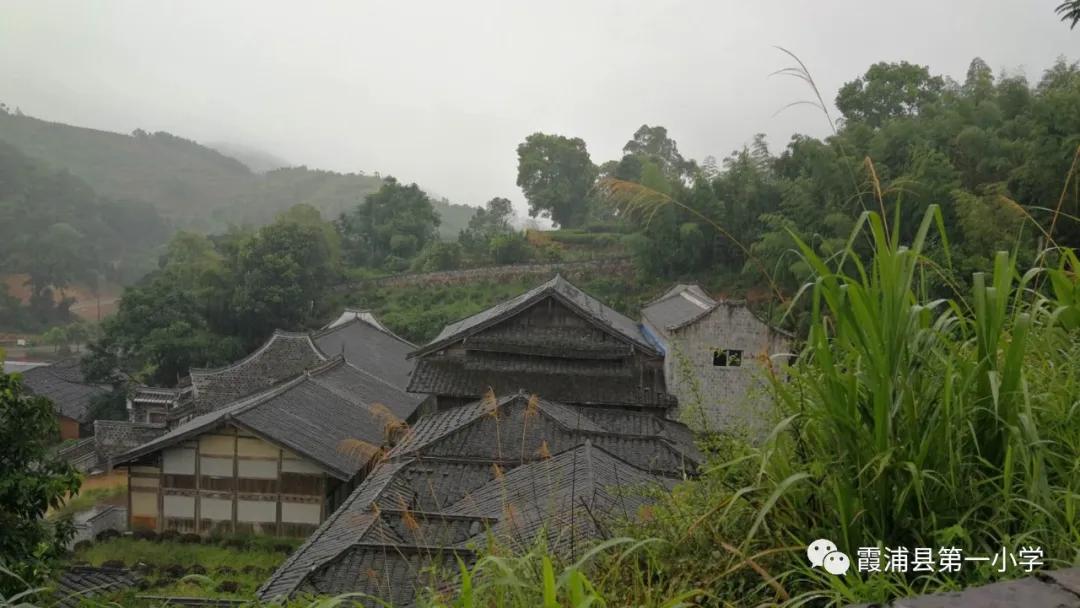 霞浦一中高一新生夏令营,霞浦县夏令营