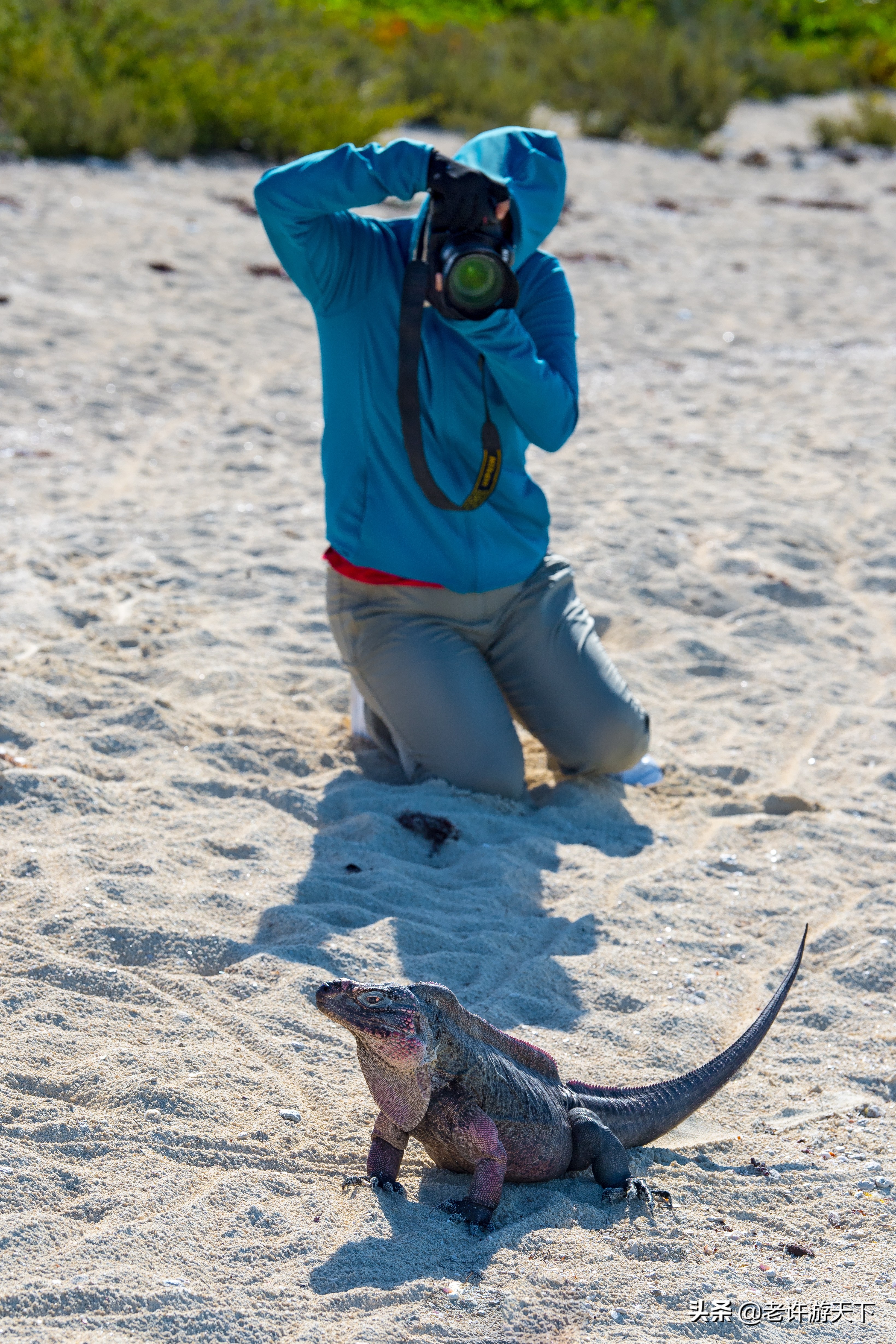 世界有名的海岛旅游胜地,世界10大最奇特海岛
