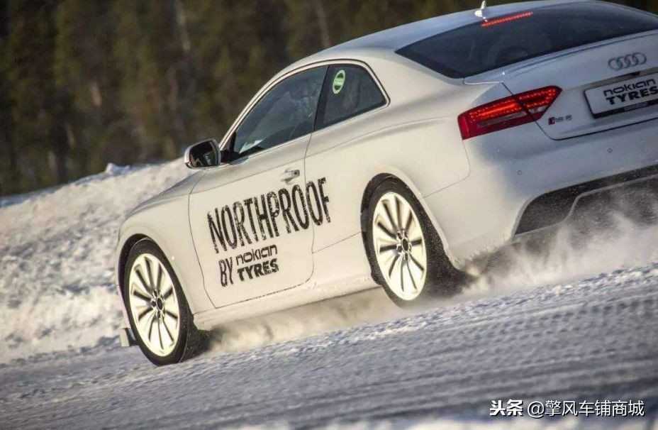 冬日猫咪保养指南,猫咪冬天开车需要检查什么