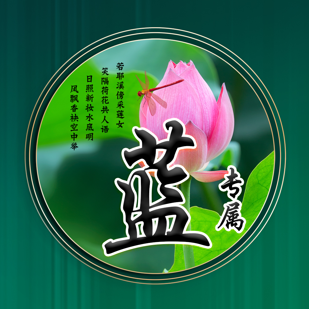 100张唯美荷花姓氏头像,适合做头像的荷花图片清晰点的